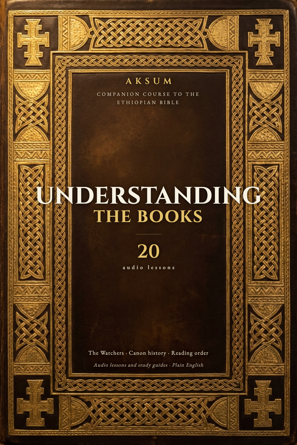 Understanding the Books, companion course cover
